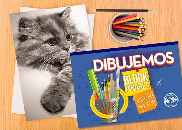 Técnicas de dibujo para principiantes | ¿Cuántas técnicas son?