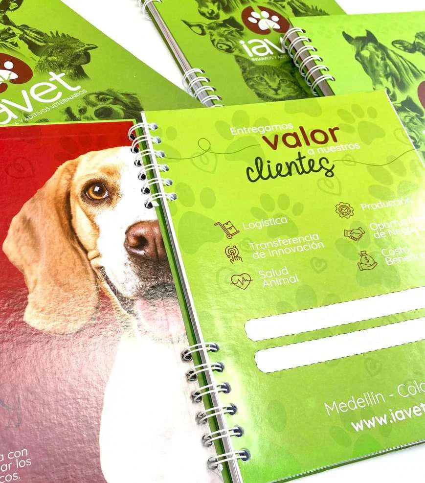 Tipos de agendas empresariales