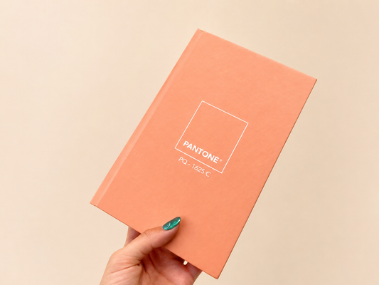 Agenda monocromatica-Rosa