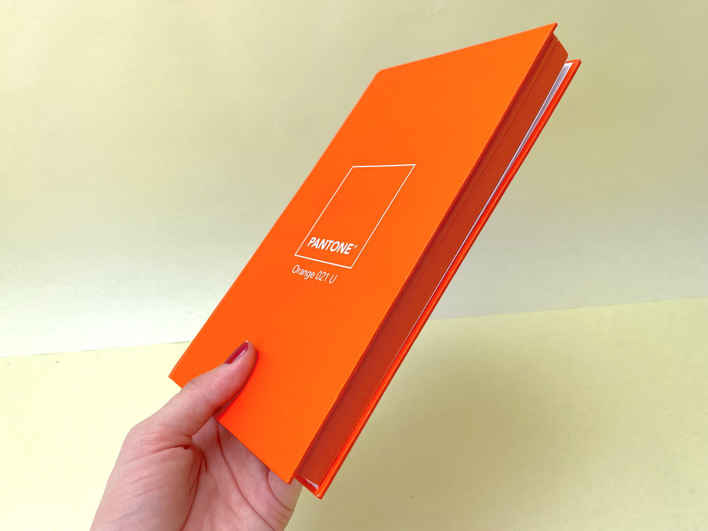 Agenda Monocromatica-Naranja