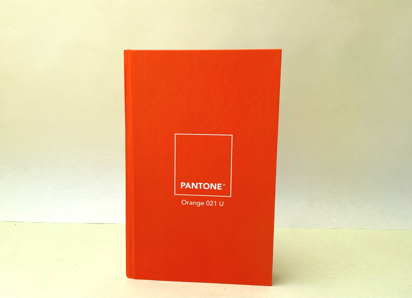 Agenda Monocromatica-Naranja