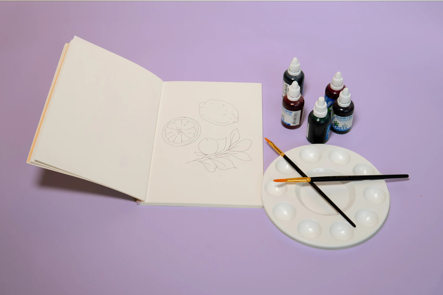 Kit "principiantes en acuarela"