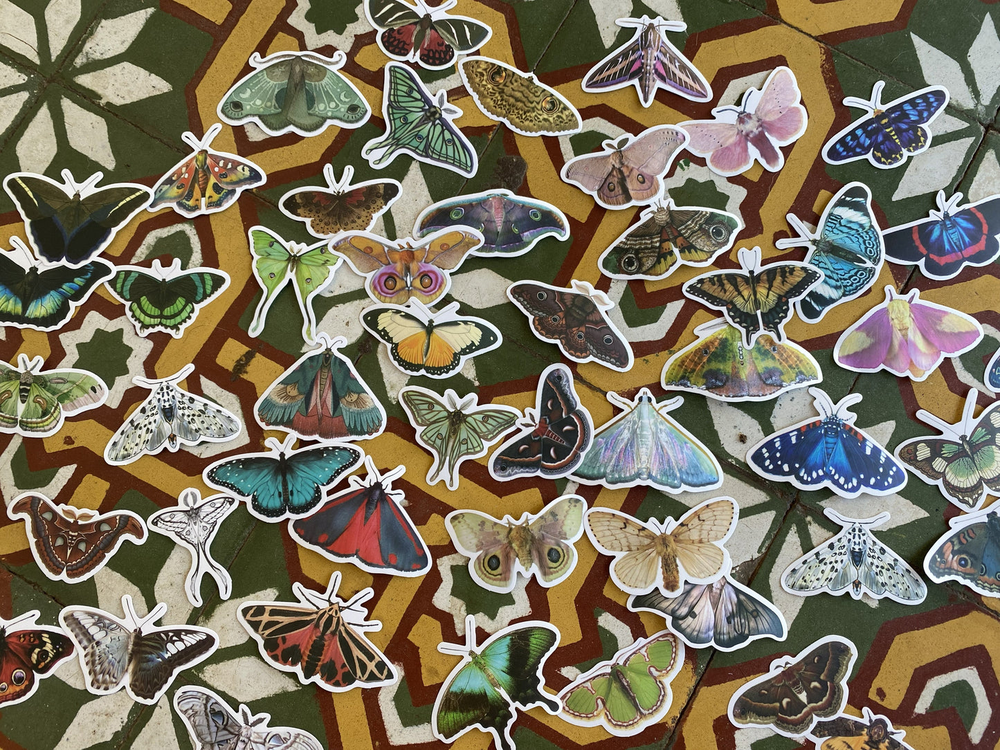 Pack de Stickers Sorpresa