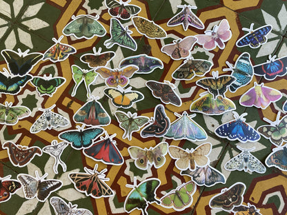Pack de Stickers Sorpresa